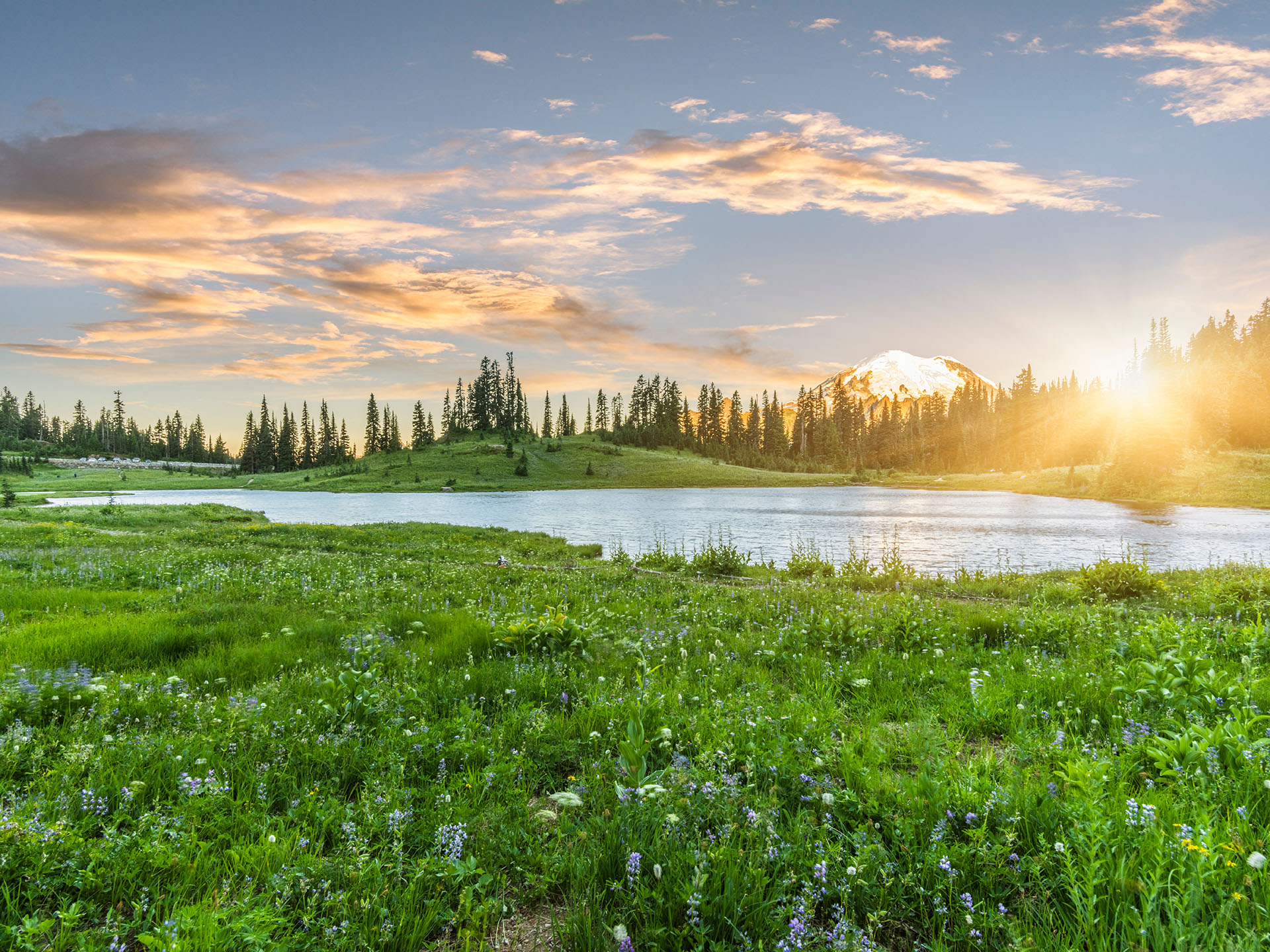 Tipsoo Lake of MT.Rainier